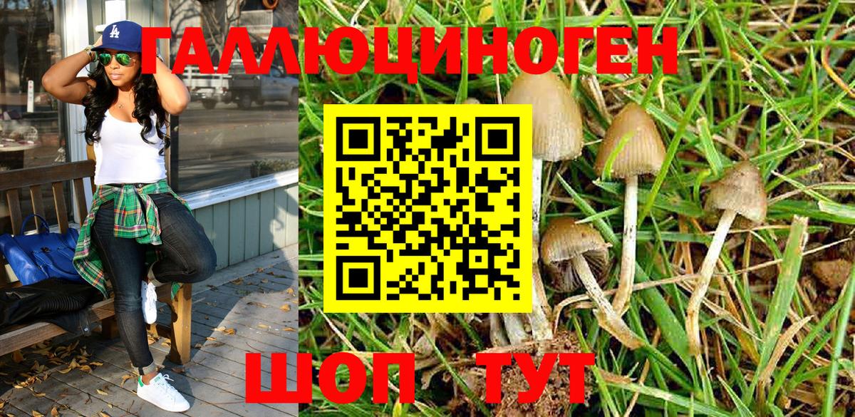 Галлюциногенные грибы Psilocybe Фурманов