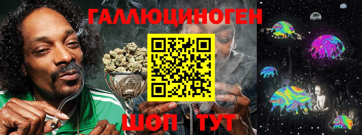 Фурманов  Галлюциногенные грибы Psilocybe  Вход с VPN 